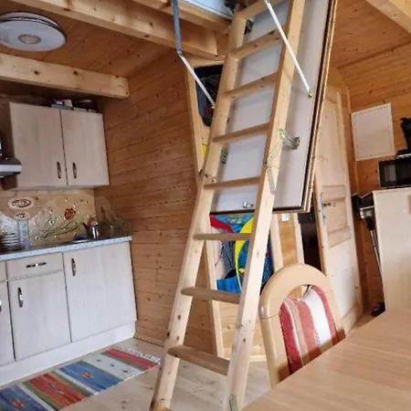 Mohn Am Ferienhaus *